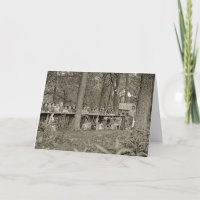 Vintage Boy Scout Troop Camping Photo 1920's