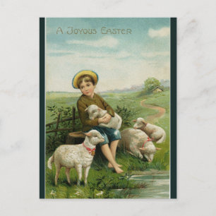 Vintage Boy With Lambs Easter Postcard