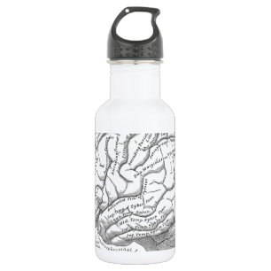 Vintage Brain Anatomy 532 Ml Water Bottle
