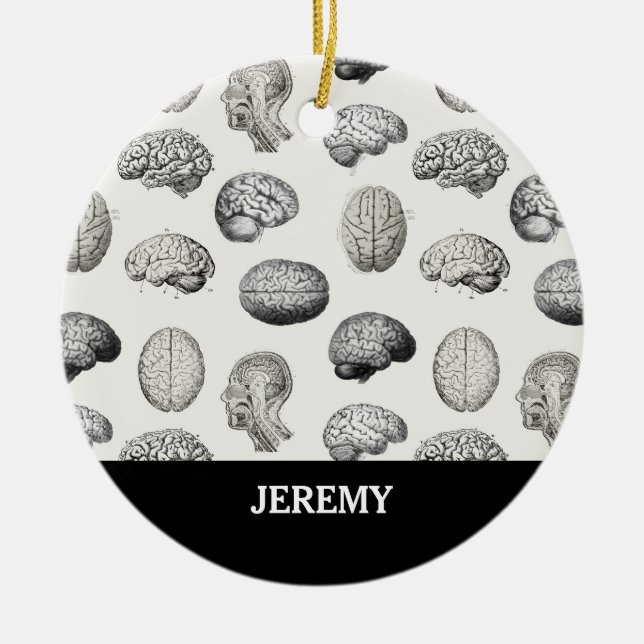 Vintage Brain Anatomy Biology Illustrations Ceramic Ornament (Front)