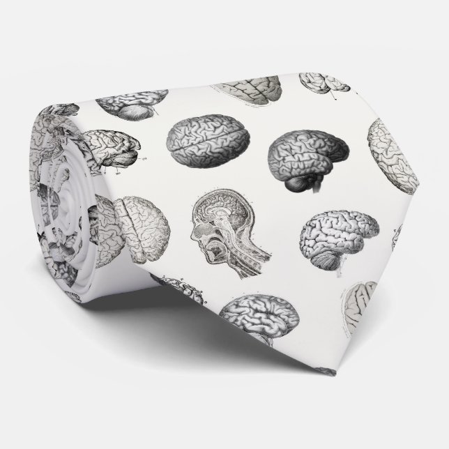 Vintage Brain Anatomy Biology Illustrations Tie (Rolled)