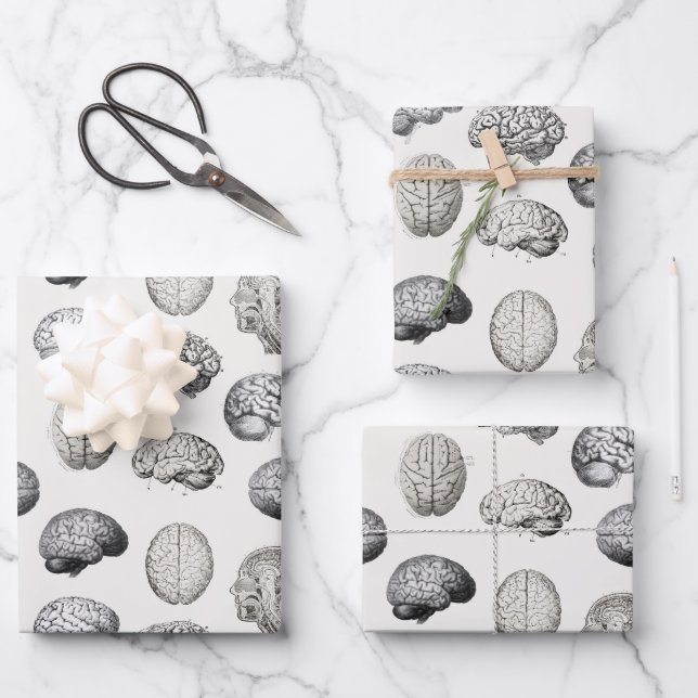 Vintage Brain Anatomy Biology Illustrations Wrapping Paper Sheet (Front)