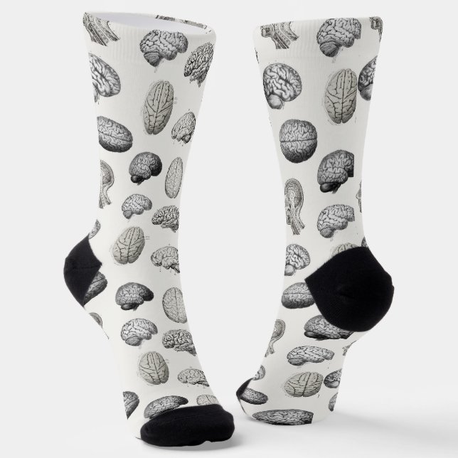 Vintage Brain Anatomy Illustrations Socks (Angled)