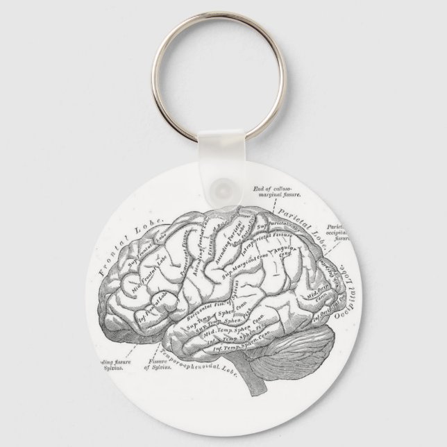 Vintage Brain Anatomy Keychain (Front)