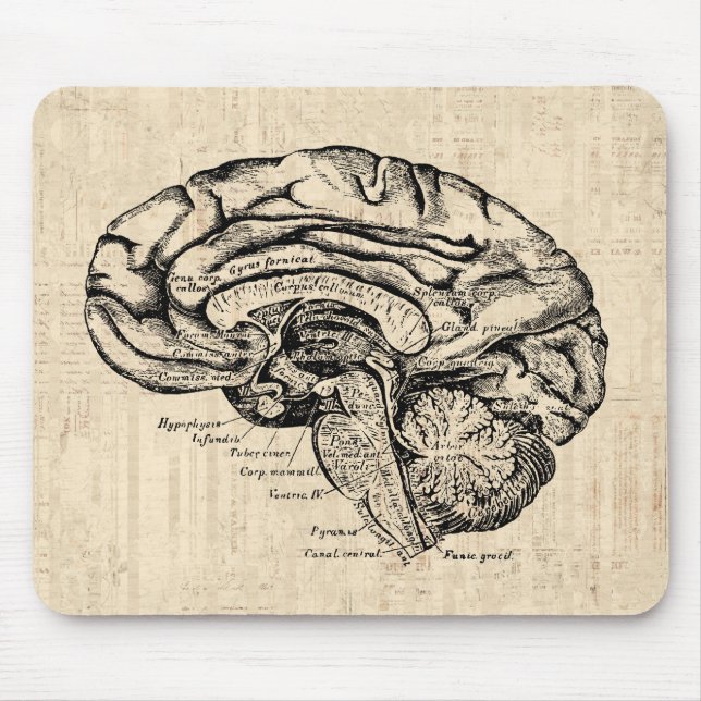 Vintage Brain Artwork Mousepad (Front)