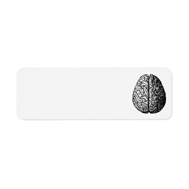 VINTAGE BRAIN DRAWING ADDRESS LABELS (Front)