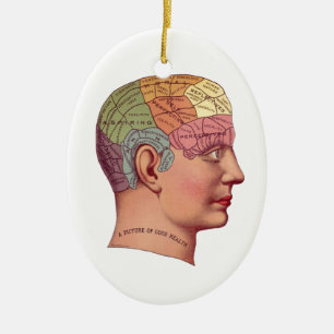 Vintage Brain Function Illustration Ceramic Ornament
