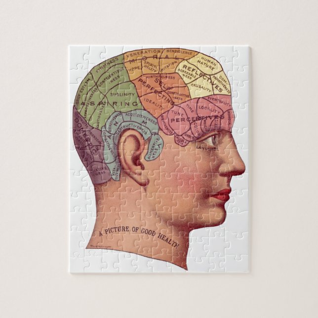 Vintage Brain Function Illustration Jigsaw Puzzle (Vertical)