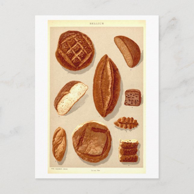 Vintage Breads of Belgium Postcard (Front)