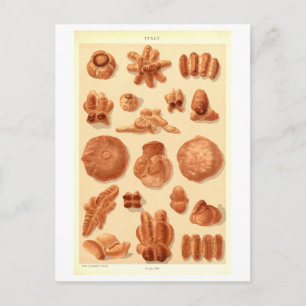 Vintage Breads of Italy Postcard