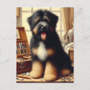 Vintage Briard Dog Painting Postcard