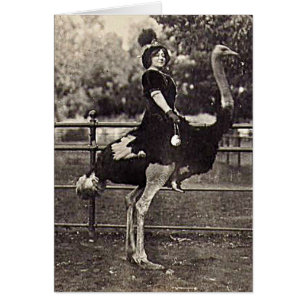 Vintage Broadway Actress Riding an Ostrich