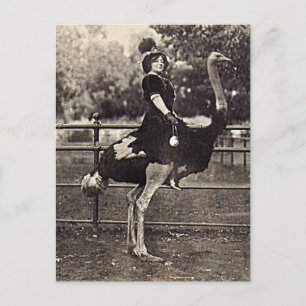 Vintage Broadway Actress Riding an Ostrich Postcard