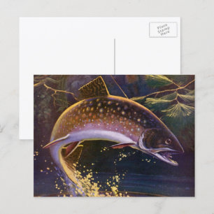 Vintage Brook Trout Fish Fisherman, Sports Fishing Postcard