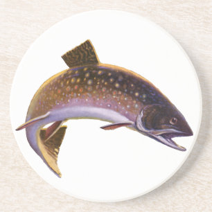 Vintage Brook Trout Fish, Sports Fishing Fisherman Coaster
