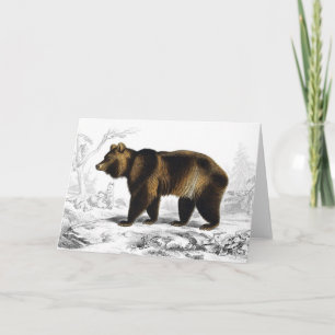 Vintage Brown Bear Book Illustration Card