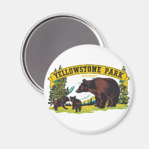 Vintage Brown Bears in Yellowstone National Park Magnet