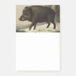 Vintage Brown Boar Hunting Painting, Wildlife Art Post-it Notes
