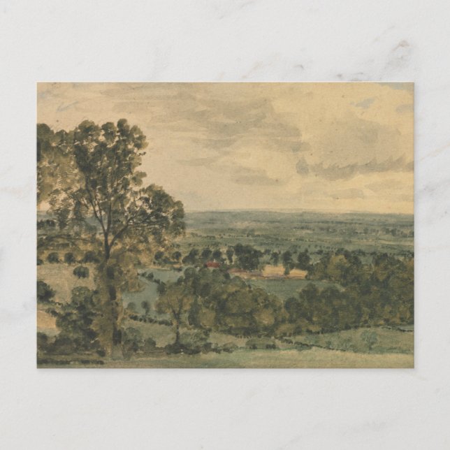 Vintage brown landscape nature scenic  postcard (Front)
