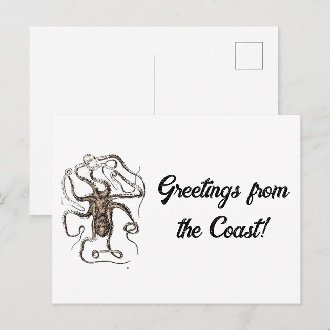 Vintage Brown Octopus, Nautical Nature Art Sketch Postcard (Front/Back)