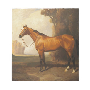 Vintage Brown Thoroughbred Horse Notepad