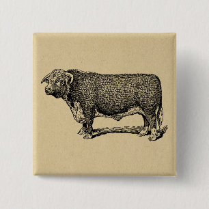 Vintage Bull Country & Farm Themed Art 2 Inch Square Button