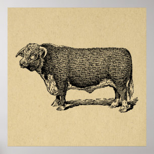 Vintage Bull Country & Farm Themed Art Poster