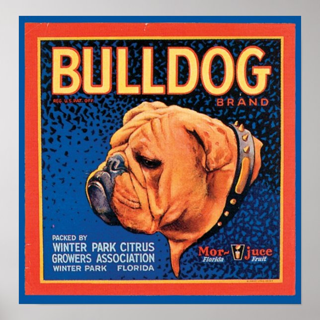 Vintage Bulldog Brand Crate Label Poster (Front)