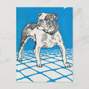Vintage Bulldog Postcard