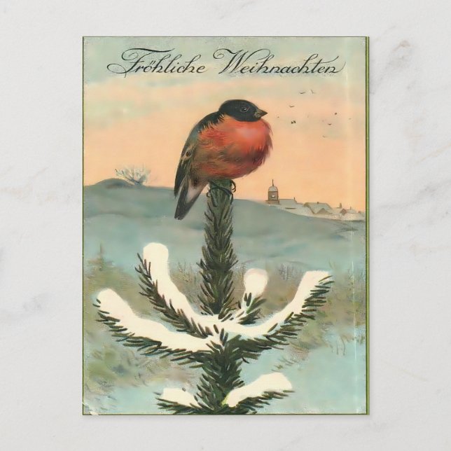 Vintage Bullfinch Bird on Snowy Pine Postcard (Front)