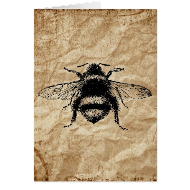 Vintage Bumble bee (Front)