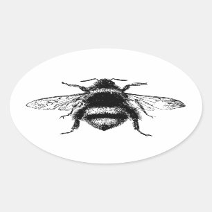 Vintage Bumble bee Oval Sticker