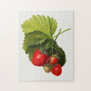 Vintage Bunch of Strawberries Watercolor Painting Jigsaw Puzzle
