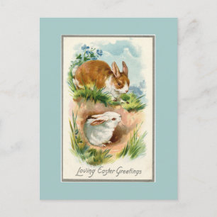Vintage Bunnies Loving Easter Blue Postcard