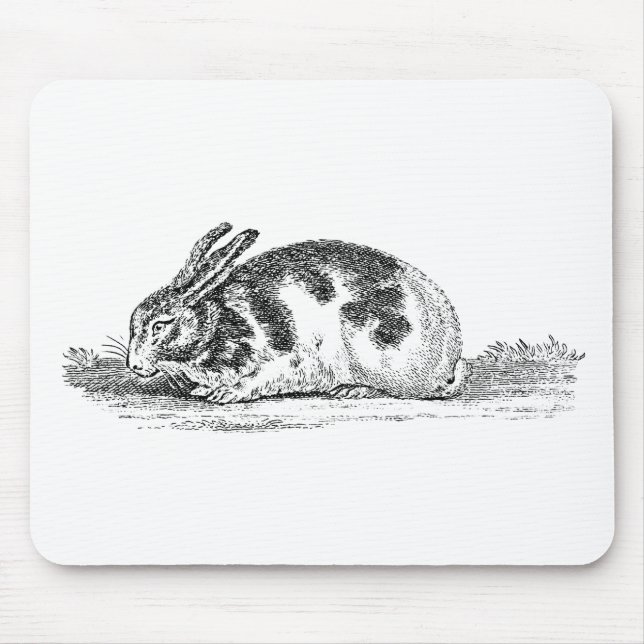 Vintage Bunny Rabbit Illustration - 1800's Rabbits Mouse Pad (Front)