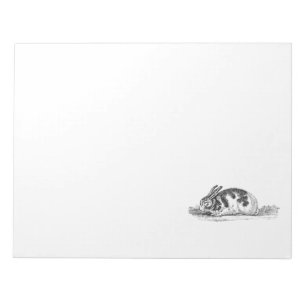 Vintage Bunny Rabbit Illustration - 1800's Rabbits Notepad