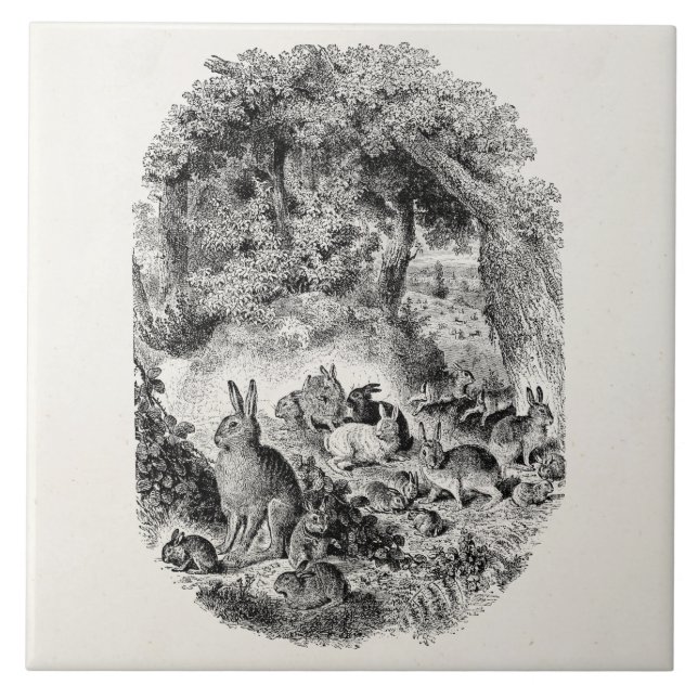 Vintage Bunny Rabbits 1800s Bunnies Rabbit Tile (Front)