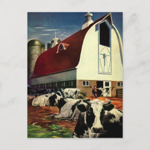 Vintage Business, Holstein Milk Cows on Dairy Farm Postcard