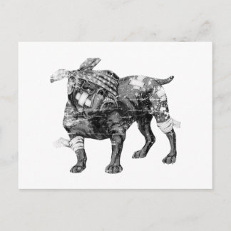 Vintage Butch in BW Postcard
