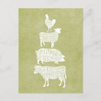 Vintage Butcher Meat Cuts Cow Pig Chicken Art Postcard