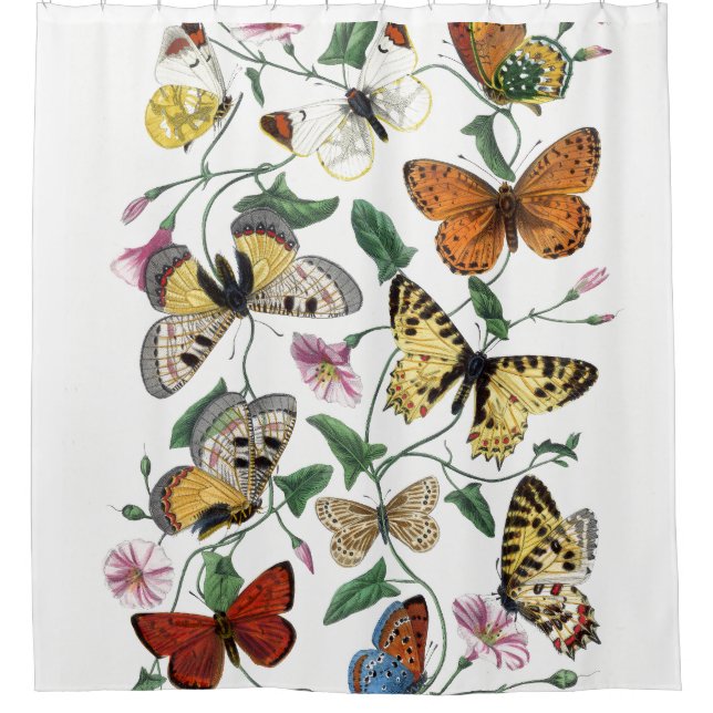 Vintage Butterflies (Front)