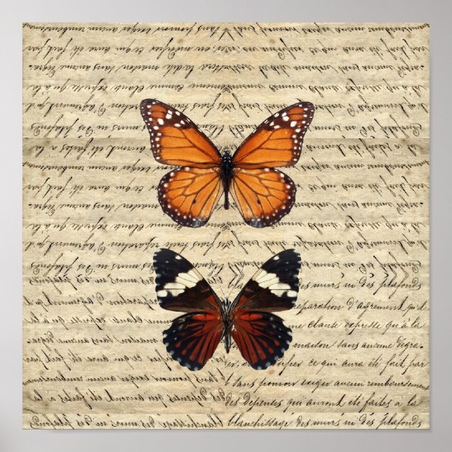 Vintage butterflies collection poster (Front)