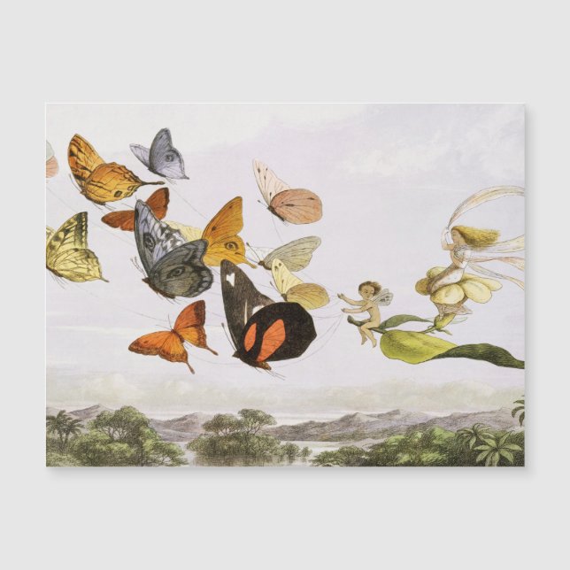 Vintage Butterflies & Fairy Old Illustration Art (Front)