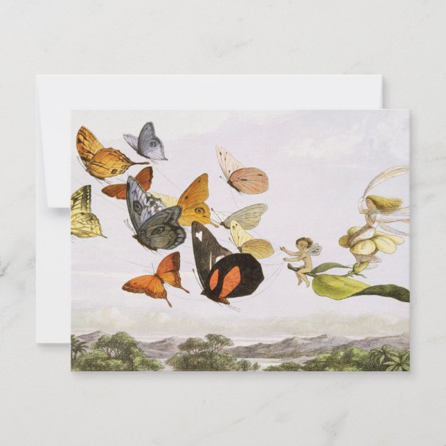 Vintage Butterflies & Fairy Old Illustration Art Card (Front)