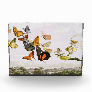 Vintage Butterflies & Fairy Old Illustration Art Photo Block