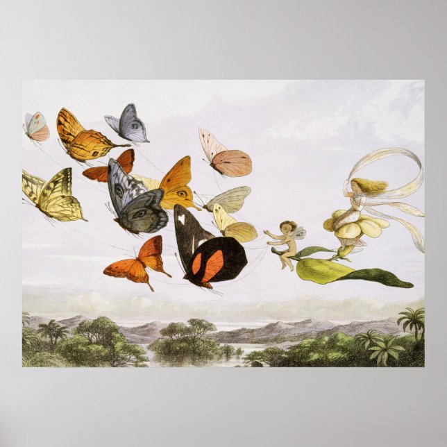 Vintage Butterflies & Fairy Old Illustration Art Poster (Front)
