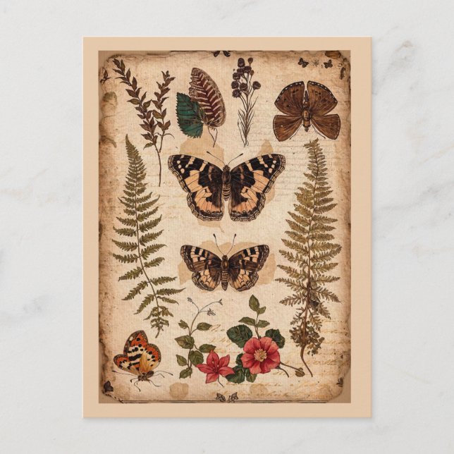 Vintage Butterflies Ferns Nature Journal Postcard (Front)