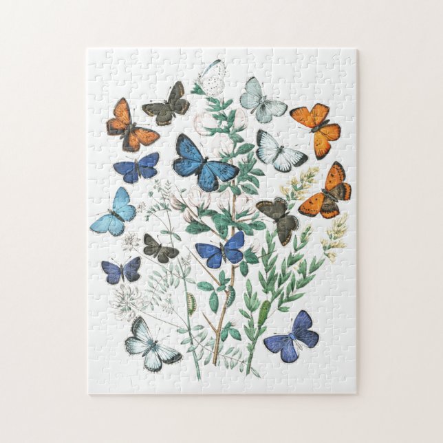 Vintage Butterflies Illustration Jigsaw Puzzle (Vertical)
