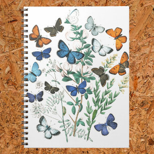 Vintage Butterflies Illustration on a Notebook