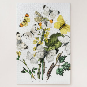 Vintage Butterflies Jigsaw Puzzle